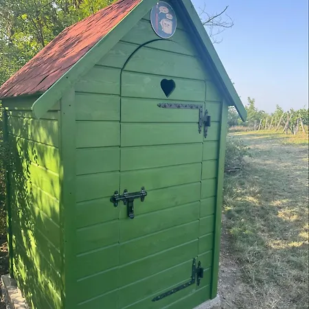 Glamping Ve Vinici - Jurty Zijumarcipan - Jizni Morava Blučina
